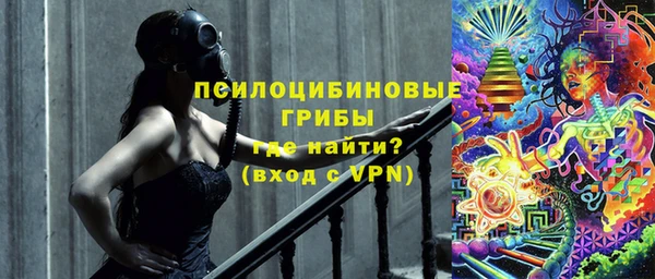 ПСИЛОЦИБИНОВЫЕ ГРИБЫ Магадан