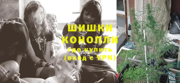 стаф Майский