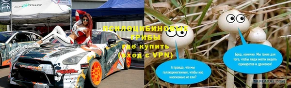 стаф Майский