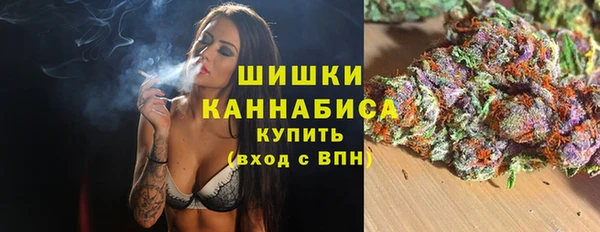 стаф Майский